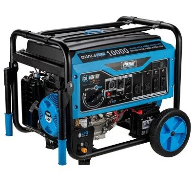 1-241-1.webp Pulsar 10,000 Watt Dual Fuels Portables Generator PG10000BRCO - Image 1