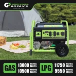 13,000W Dual Fuel Portable Generator, Electric Start - Image 5