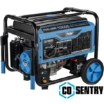 Pulsar 10,000 Watt Dual Fuels Portables Generator PG10000BRCO - Image 3