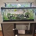 Tetra Glass Aquarium 29 Gallons, Rectangular Fish Tank, Assorted Color - Image 2