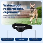 PetSafe Stay & Play Wireless Fence Receive Collar – Rechargeable and Waterproof Receiver Collar with Quick Charge in 2-3 Hours – for Dogs 5lb+ - Image 2
