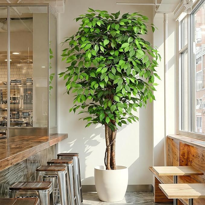 811A5oMHUxL._AC_SX679_.jpg 7ft Artificial Ficus Tree, Set of 2 - Image 1