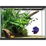 Tetra Glass Aquarium 29 Gallons, Rectangular Fish Tank, Assorted Color - Image 3