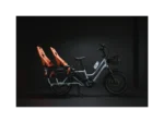 Rad Power Bikes RadWagon 5 Electrics Cargo Bikes - Image 2