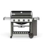 Weber Genesis II E-410 NGs