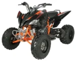 Regency PRO Ultra Sports 250cc ATV