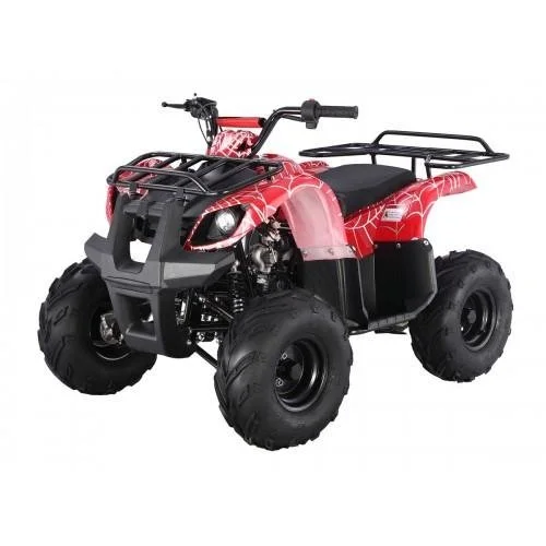 tao1-2.webp Tao Motors D125 Kids ATVs - Image 1
