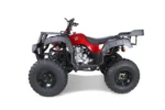 Taotao 250 Rhiino Adult Utility ATV - Image 4