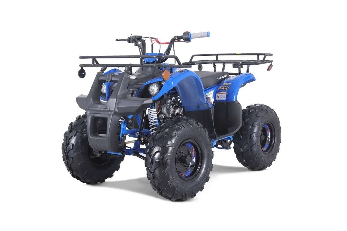 ttt1-2.webp TaoTao T-Force T125 4-Wheeler All-Terraiin Vehicle ATV - Image 1