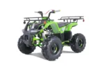 TaoTao T-Force T125 4-Wheeler All-Terraiin Vehicle ATV - Image 3