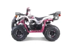 TaoTao T-Force T125 4-Wheeler All-Terraiin Vehicle ATV - Image 2