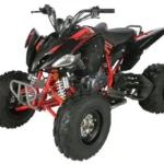Vitaccii Pentora Racing ATV